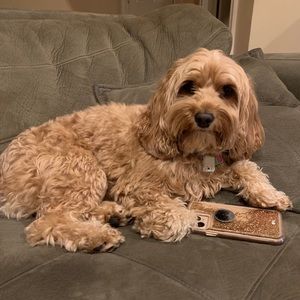 Meet your Posher, Kimberly